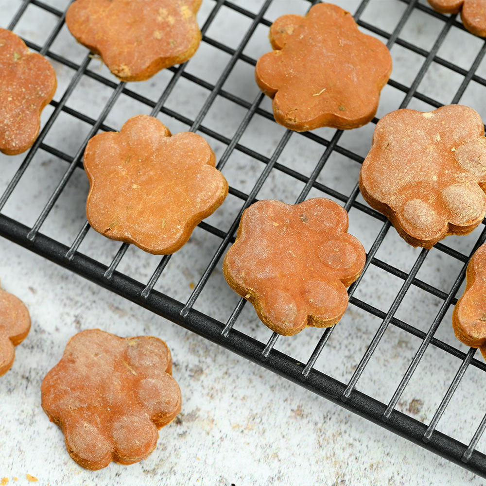 Butternut Squash Paws image 2