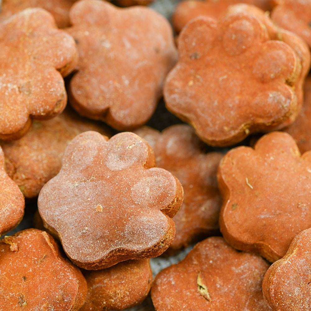 Butternut Squash Paws image 1