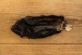 Lamb Ear (with hair)
