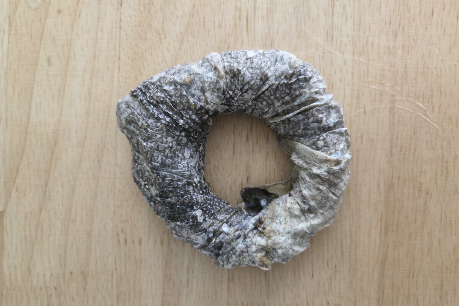 Fish skin 'Donut'